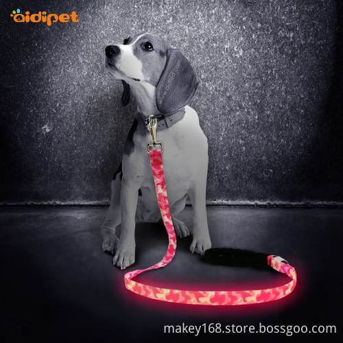 Nylon Rechargeable Glow Safety Led Dog Lead